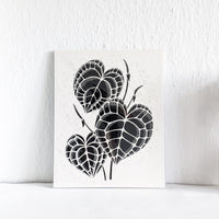 Anthurium Clarinervium Art Print