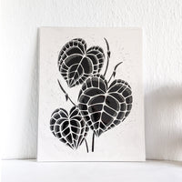 Anthurium Clarinervium Art Print