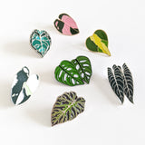 Anthurium Clarinervium Enamel Pin