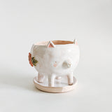 Cat Planter