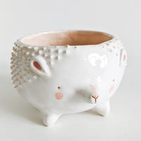 Hedgehog Planter