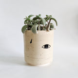 Eye Planter