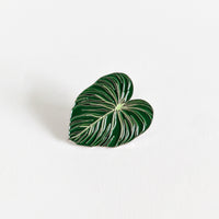 Philodendron Pastazanum Enamel Pin