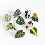 Philodendron Pink Princess Enamel Pin