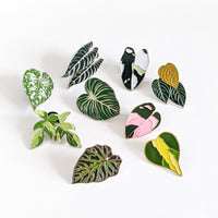 Philodendron White Knight Enamel Pin